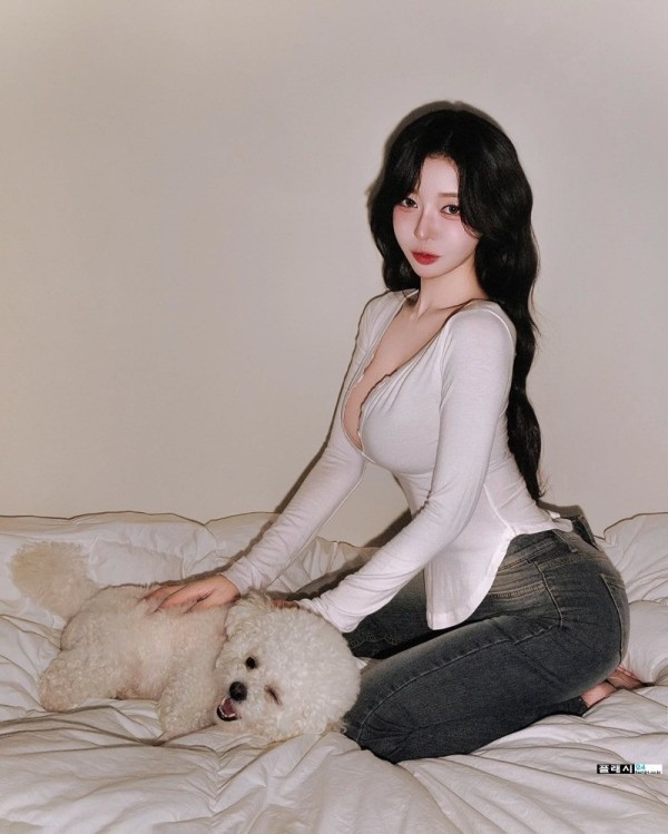 댕댕이 부럽다 이미지 4
