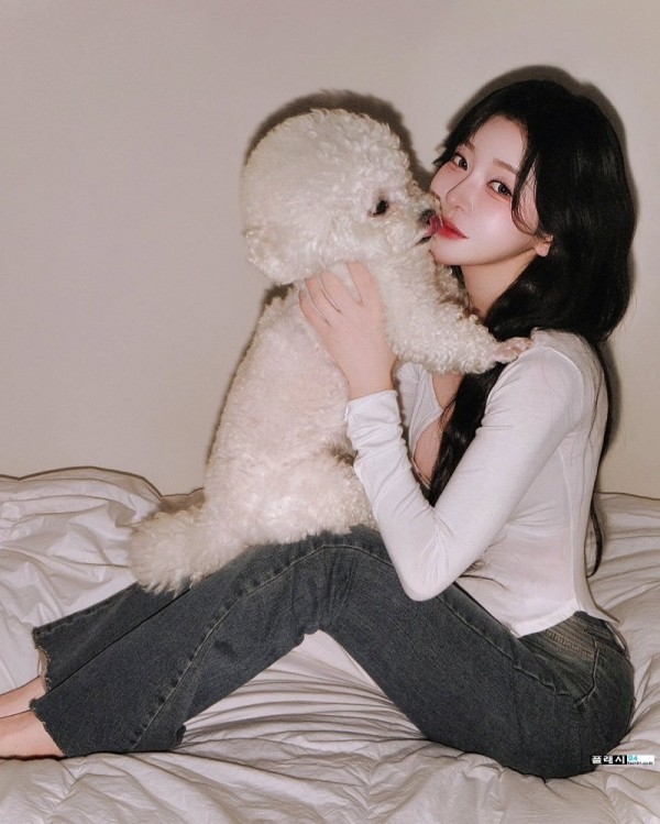댕댕이 부럽다 이미지 9