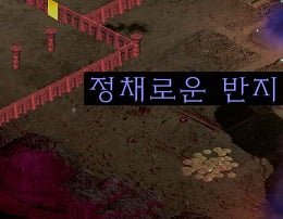 조선족 외주 의심 받는다는 디아 번역 근황.jpg 이미지 2