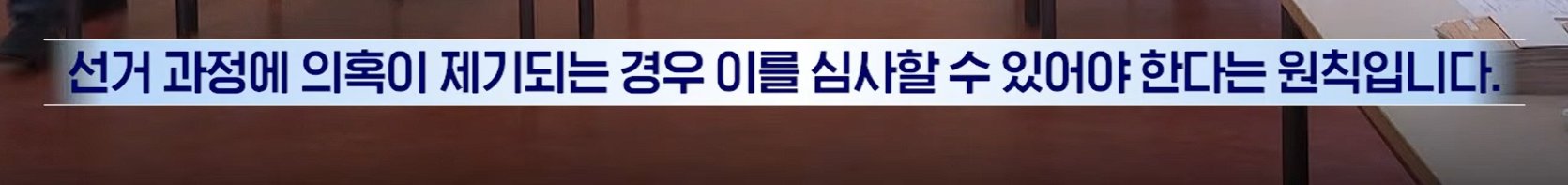 투표용지 찐빠 났던 독일 사례 이미지 8